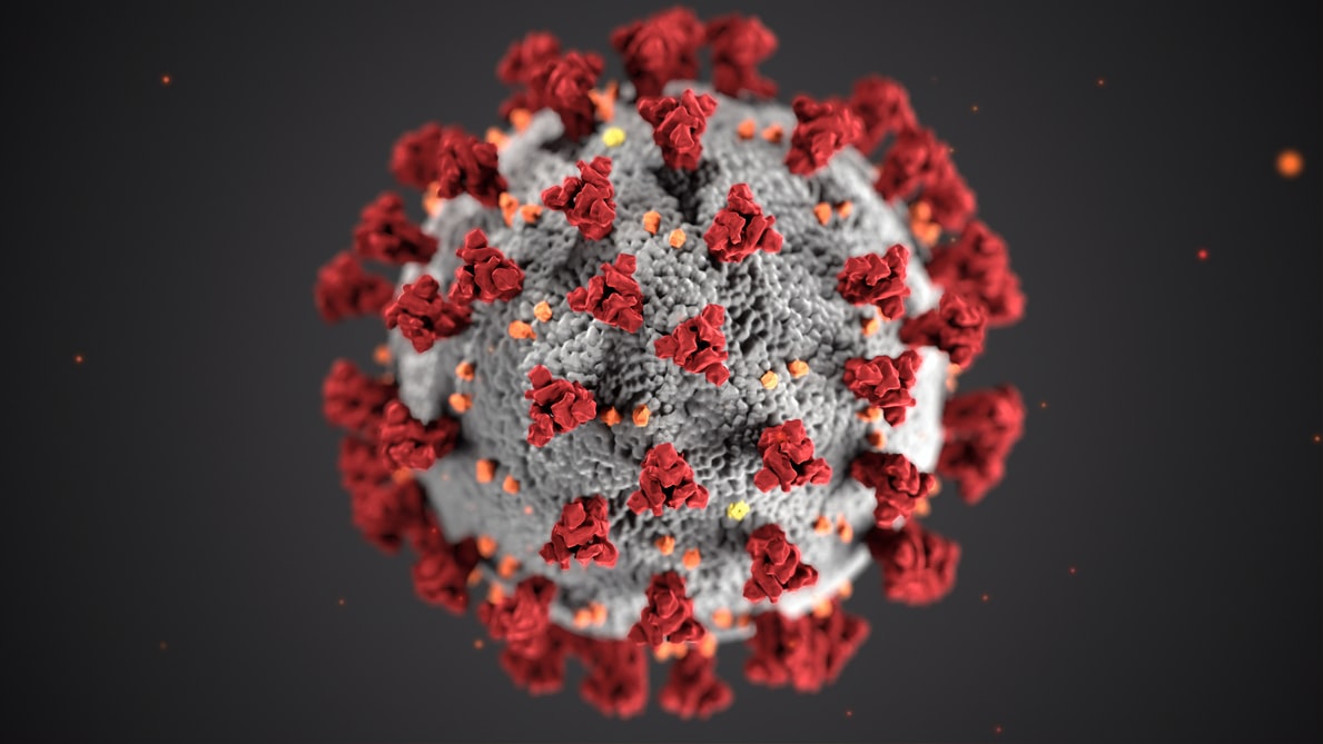 corona virus